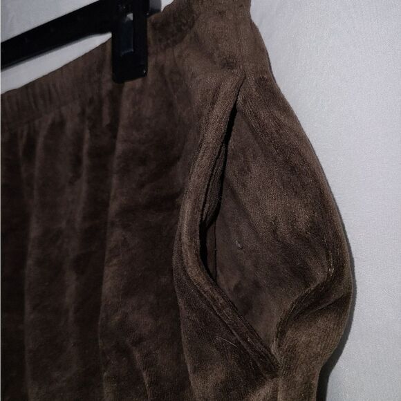 Draper's & Damon's Petites Hot Chocolate Brown Pull On Pants Size PXL - Picture 4 of 9